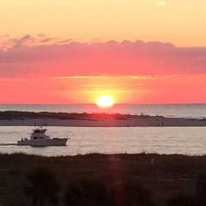 Meet your Posher, Renee'